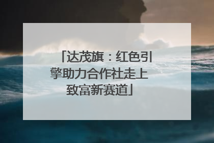 达茂旗：红色引擎助力合作社走上致富新赛道