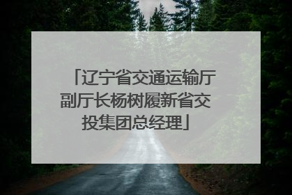 辽宁省交通运输厅副厅长杨树履新省交投集团总经理