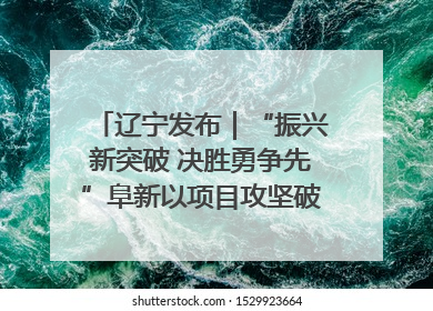 辽宁发布｜“振兴新突破 决胜勇争先”阜新以项目攻坚破解发展瓶颈 经济发展实现良好开局