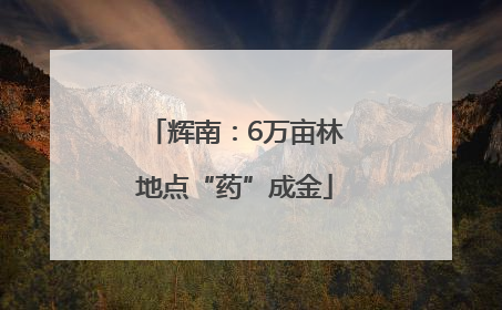 辉南：6万亩林地点“药”成金