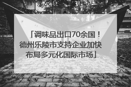 调味品出口70余国！德州乐陵市支持企业加快布局多元化国际市场