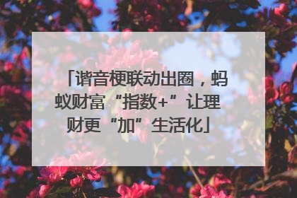 谐音梗联动出圈，蚂蚁财富“指数+”让理财更“加”生活化