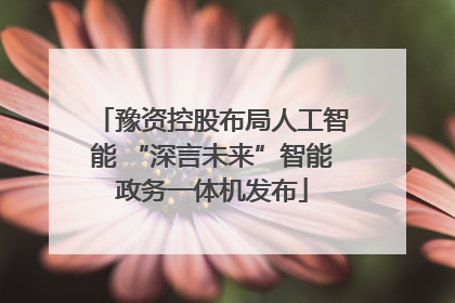 豫资控股布局人工智能 “深言未来”智能政务一体机发布