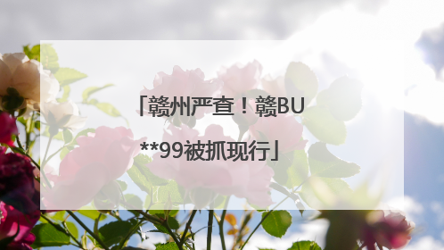 赣州严查！赣BU**99被抓现行