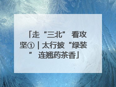 走“三北” 看攻坚①｜太行披“绿装” 连翘药茶香