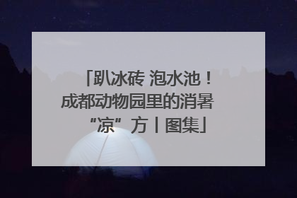趴冰砖 泡水池！成都动物园里的消暑“凉”方丨图集