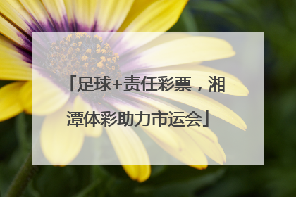 足球+责任彩票，湘潭体彩助力市运会