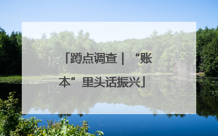 蹲点调查｜“账本”里头话振兴