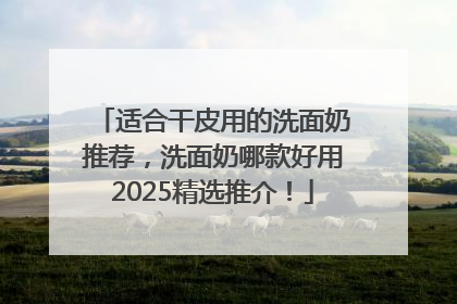 适合干皮用的洗面奶推荐，洗面奶哪款好用2025精选推介！