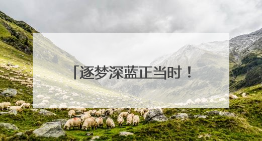 逐梦深蓝正当时！《关于推动海洋经济高质量发展的提案》背后的故事