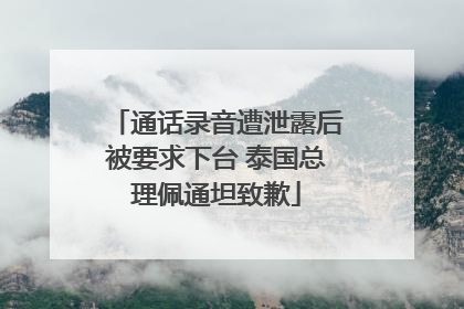 通话录音遭泄露后被要求下台 泰国总理佩通坦致歉