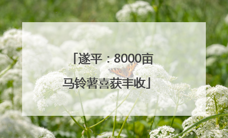 遂平：8000亩马铃薯喜获丰收