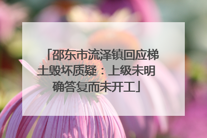 邵东市流泽镇回应梯土毁坏质疑：上级未明确答复而未开工