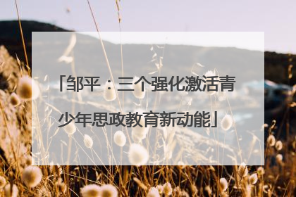 邹平：三个强化激活青少年思政教育新动能