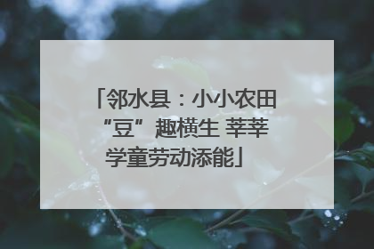 邻水县：小小农田“豆”趣横生 莘莘学童劳动添能
