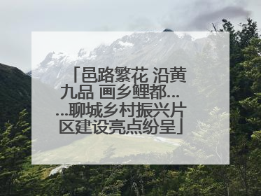 邑路繁花 沿黄九品 画乡鲤都……聊城乡村振兴片区建设亮点纷呈