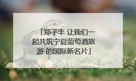 郑子丰 让我们一起共筑宁夏葡萄酒旅游 的国际新名片