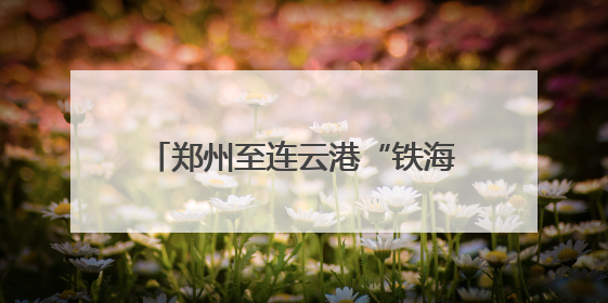 郑州至连云港“铁海直运”线路打通，河南再添出海新通道