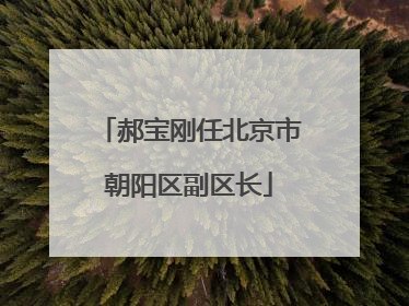 郝宝刚任北京市朝阳区副区长