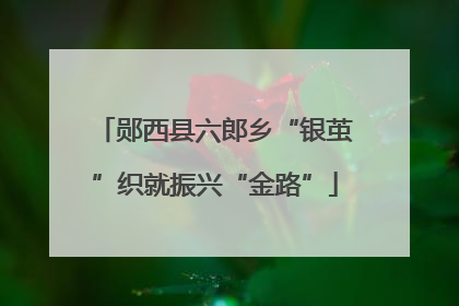郧西县六郎乡“银茧”织就振兴“金路”