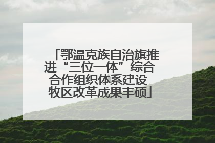 鄂温克族自治旗推进“三位一体”综合合作组织体系建设 牧区改革成果丰硕