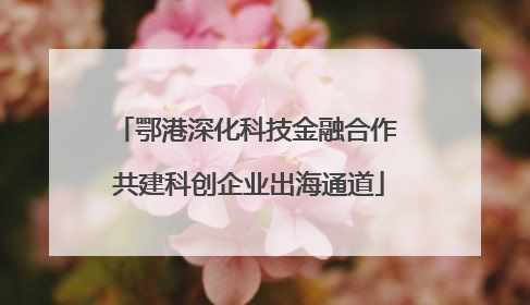 鄂港深化科技金融合作 共建科创企业出海通道