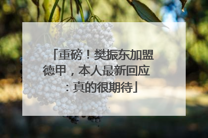 重磅！樊振东加盟德甲，本人最新回应：真的很期待