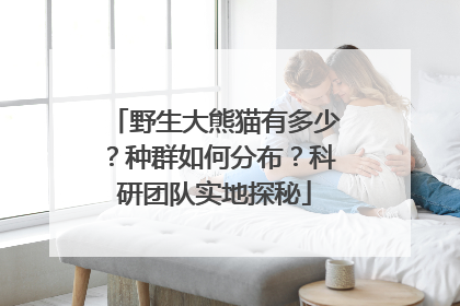 野生大熊猫有多少？种群如何分布？科研团队实地探秘