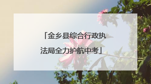 金乡县综合行政执法局全力护航中考