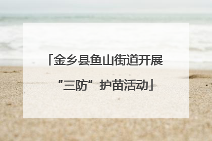 金乡县鱼山街道开展“三防”护苗活动
