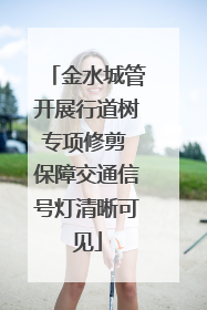 金水城管开展行道树专项修剪 保障交通信号灯清晰可见