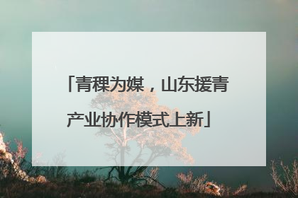 青稞为媒，山东援青产业协作模式上新