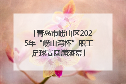 青岛市崂山区2025年“崂山湾杯”职工足球赛圆满落幕
