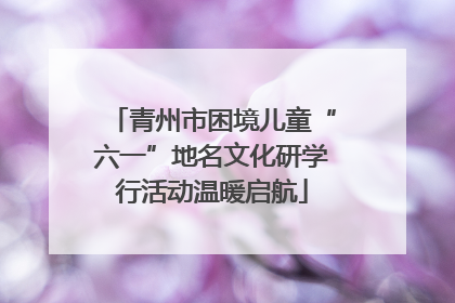 青州市困境儿童“六一”地名文化研学行活动温暖启航