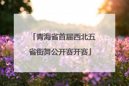 青海省首届西北五省街舞公开赛开赛