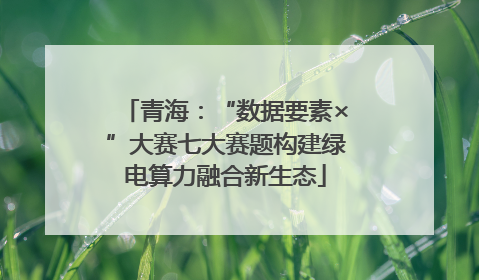 青海：“数据要素×”大赛七大赛题构建绿电算力融合新生态