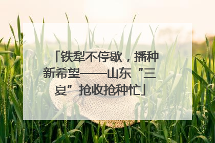 铁犁不停歇，播种新希望——山东“三夏”抢收抢种忙