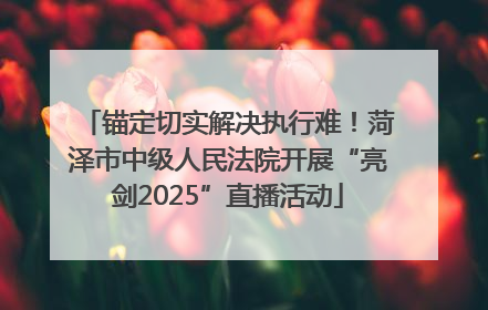 锚定切实解决执行难！菏泽市中级人民法院开展“亮剑2025”直播活动