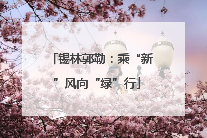 锡林郭勒：乘“新”风向“绿”行