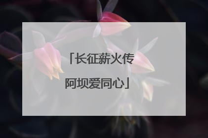 长征薪火传 阿坝爱同心