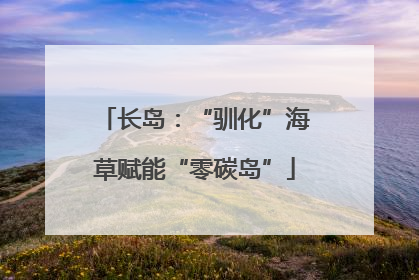 长岛：“驯化”海草赋能“零碳岛”