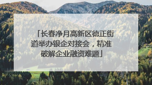 长春净月高新区德正街道举办银企对接会，精准破解企业融资难题
