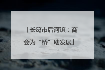 长葛市后河镇：商会为“桥”助发展