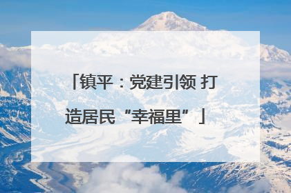镇平：党建引领 打造居民“幸福里”