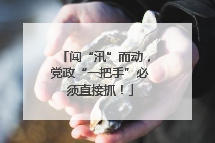 闻“汛”而动，党政“一把手”必须直接抓！
