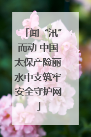 闻“汛”而动 中国太保产险丽水中支筑牢安全守护网