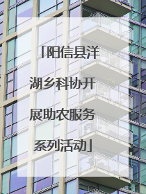 阳信县洋湖乡科协开展助农服务系列活动