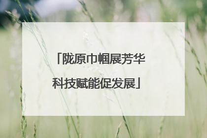 陇原巾帼展芳华 科技赋能促发展