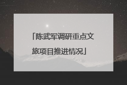 陈武军调研重点文旅项目推进情况