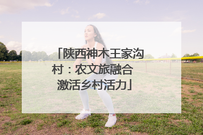 陕西神木王家沟村：农文旅融合 激活乡村活力